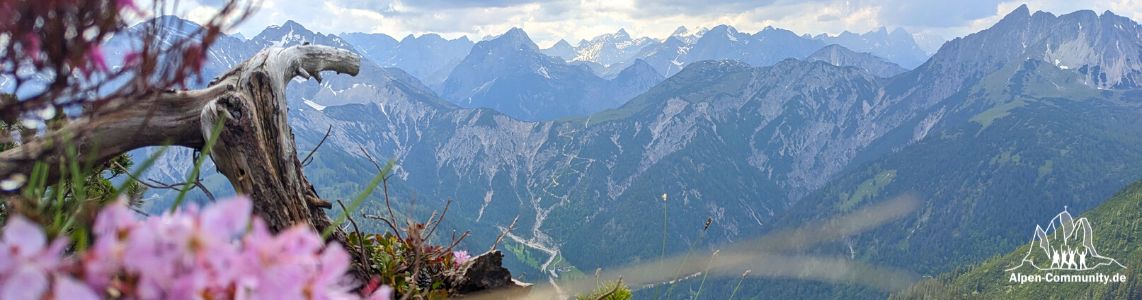 Foren-Übersicht