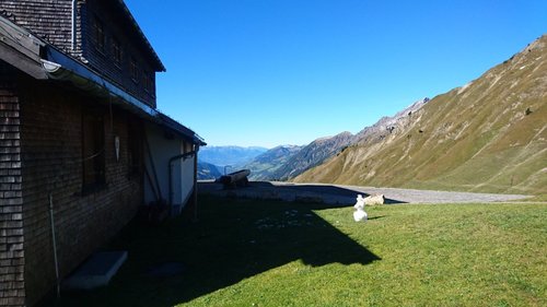 5_DSC_4305.jpg