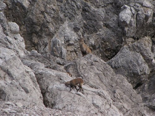 18_IMG_8199.jpg