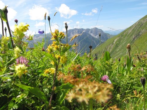Auf dem Anhalterhöhenweg.JPG