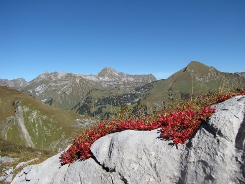 zwischen Biberarcherhütte und Göppingerhütte.JPG