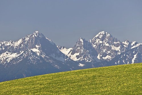 IMG27130.jpg