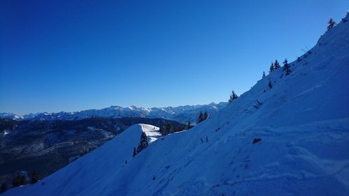 DSC_6695-verkleinert.jpg