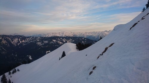 DSC_7958.JPG