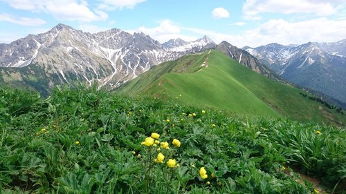 Am schönen Blumenberg Hönig mit Blick zurück, links im Bild der Rote Stein
