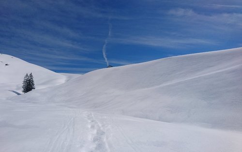 DSC_8104.jpg