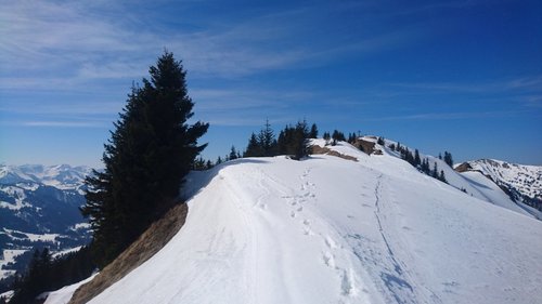 DSC_8152.jpg