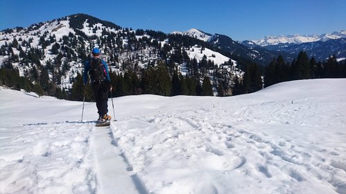 DSC_8172.jpg