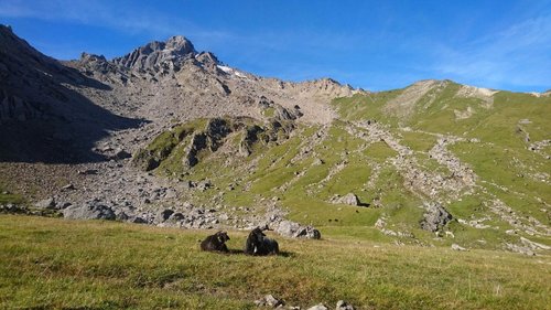 Die Große Schlenkerspitze