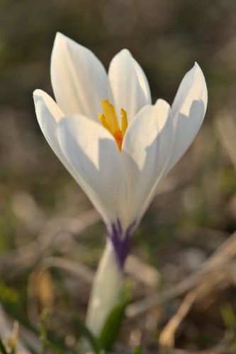 IMG90688.jpg