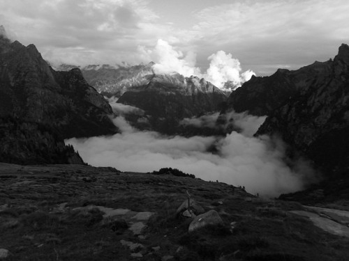 IMG_20200907_181352_8.jpg