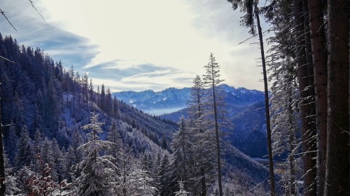 Bild_5.jpg (201.87 KiB) 4276 mal betrachtet Bild_5.jpg