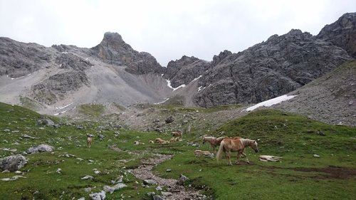 Bergwerkskopf mit der Pferdeherde