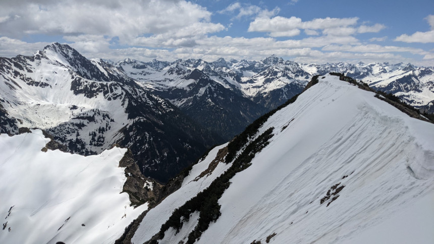 Hier sieht man links im Bild die Spur im schmalen Rücken