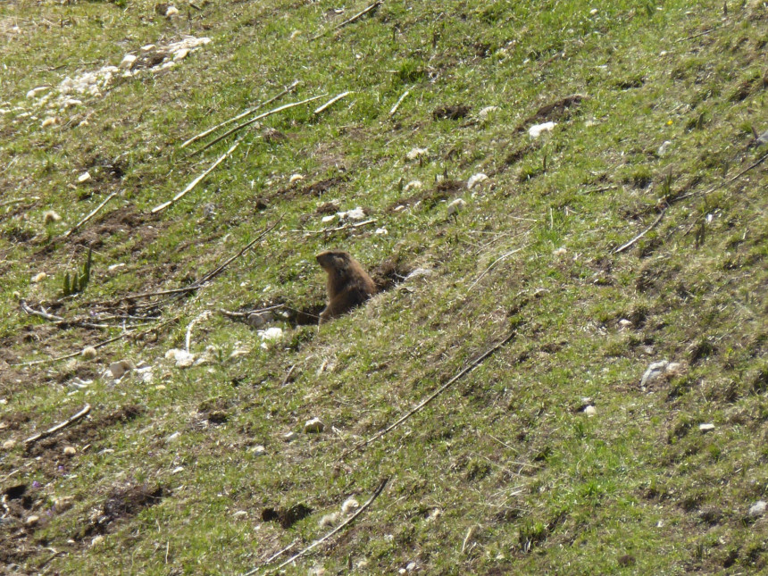 P1050874.JPG