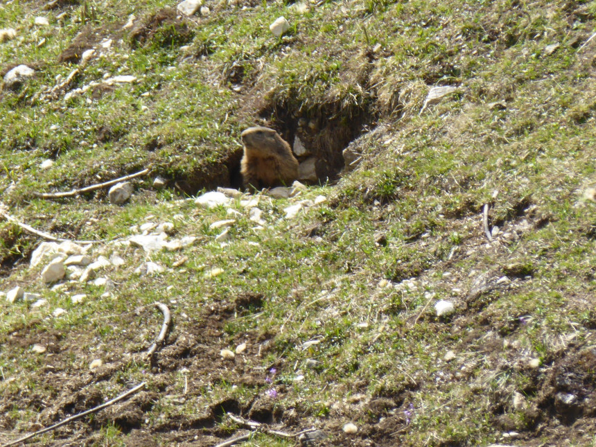 P1050881.JPG