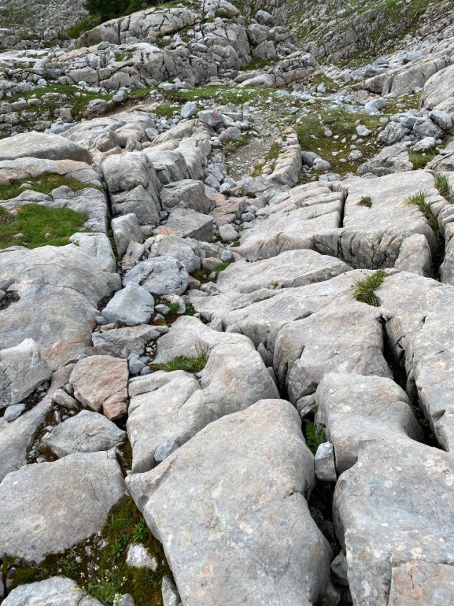 06.JPG