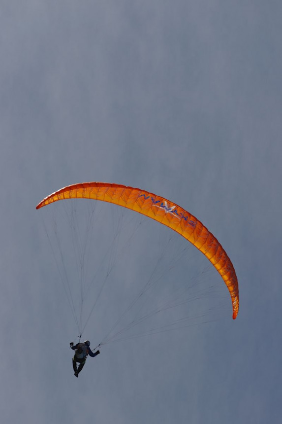 IMGF2836.jpg