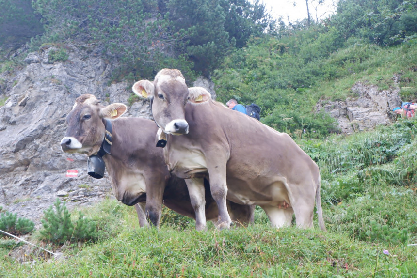 DSCF9611.JPG